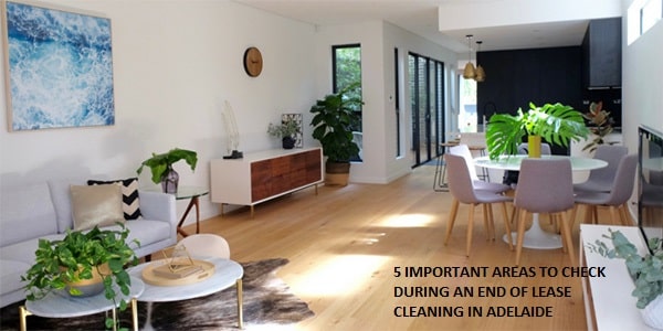 5 IMPORTANT AREAS TO CHECK DURING AN END OF LEASE CLEANING